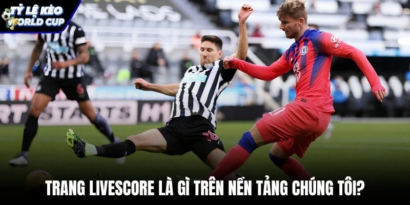 Nền tảng Livescore bóng đá chuyên nghiệp và tính năng theo dõi trực tuyến